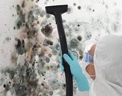 Why You Should Choose Our Mold Remediation Services in Edgar, WI